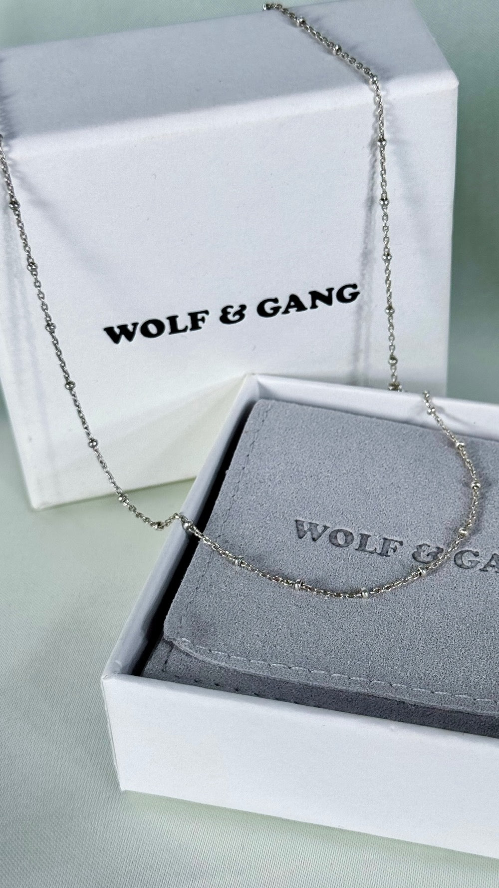 The Everyday Chain Necklace.